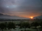 Imagen del dia